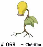 N 069 Chétiflor
